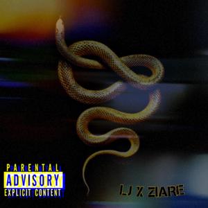 Slitherin Snakes (Explicit)