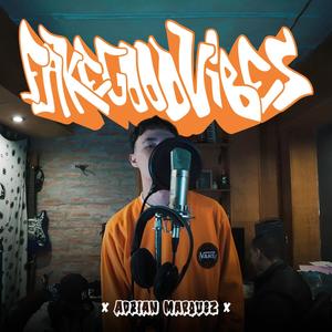Fake Good Vibes (feat. Aries Beatz & Nano Moreno) (Explicit)