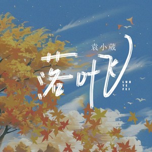 落叶飞