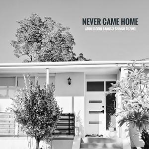 NEVER CAME HOME