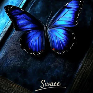 Finding me (Explicit)