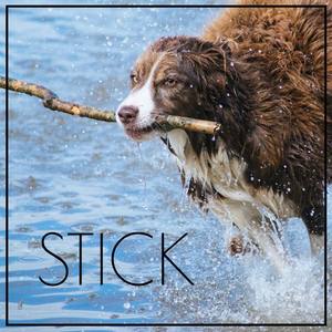 Stick