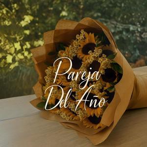 Pareja Del Año