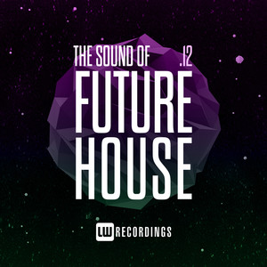 The Sound Of Future House, Vol. 12 (Explicit)