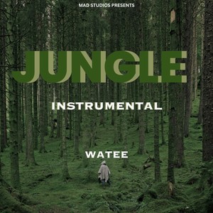 Jungle Instrumental