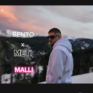 Malli