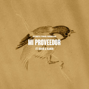 Mi proveedor