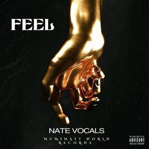 Feel (Explicit)
