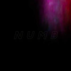 N U M B ( NUMB ) [Explicit]