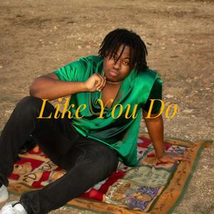 Like You Do (feat. Dymond Cymone)