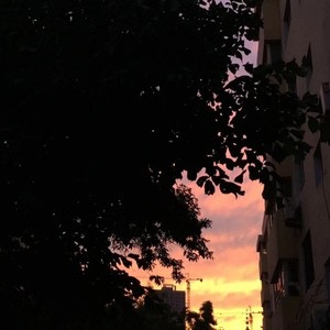 一 個 彩 色 キノコ