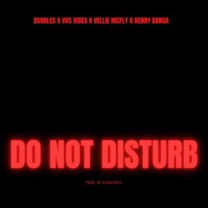 Do Not Disturb (feat. VVS Vibes)