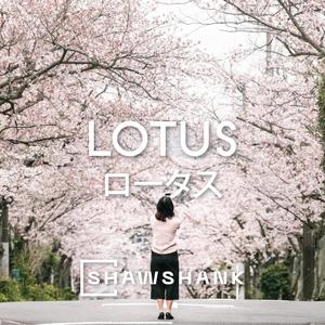 Lotus(feat. Ryo Kinoshita)