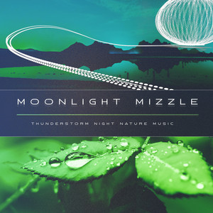 Moonlight Mizzle