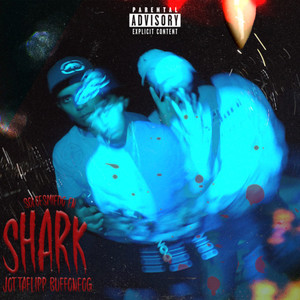 Shark (Explicit)