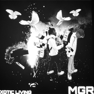Mg X Xl (Explicit)
