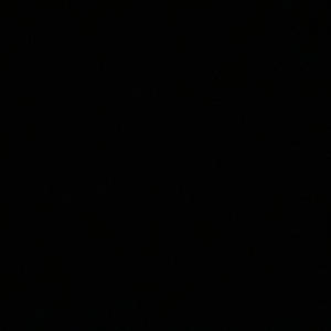 Misunderstood (feat. Premegodumb, Kash & Zachxry)