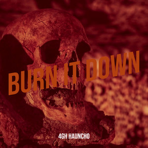 Burn It Down (Explicit)