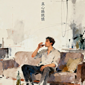 真心换绝情封面