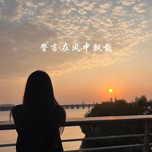 誓言在风中飘散（如果来生还能遇见）