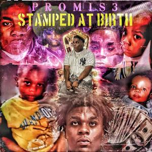 Stamped At Birth (Archived Hits) [Explicit]