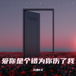 爱你是个错 为你伤了我 (DJ京仔版)