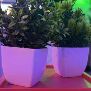 To The End (Explicit)