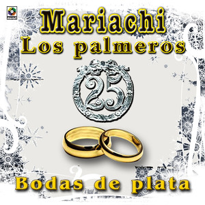 Bodas de Plata