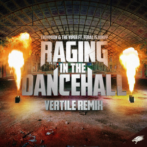 Raging in the Dancehall (Vertile Remix)