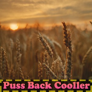 Dinesh - Puss Back Cooller