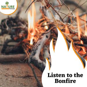 Listen to the Bonfire