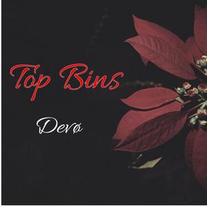 Top Bins