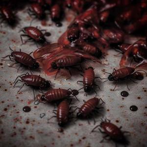 LARVA MAGGOTS FLIES (feat. triplesixheist) (Explicit)