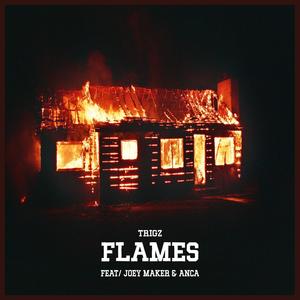 Flames (feat. Joey Maker & Machine on a Break) (Explicit)