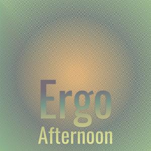 Ergo Afternoon