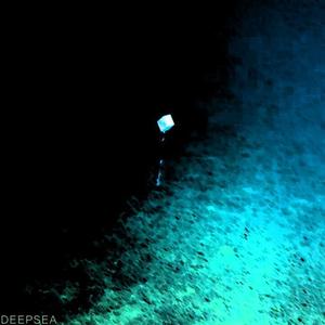 DEEPSEA