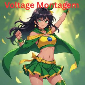 Voltage Montagem
