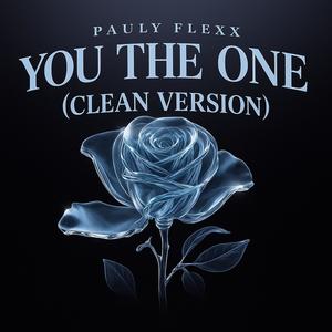 You The One (Clean Version|Explicit)