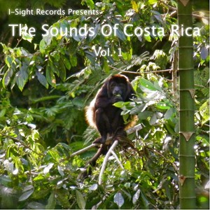 The Sounds of Costa Rica, Vol. 1