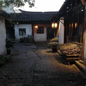 Nada (feat. Dark but Gray)