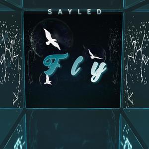 Fly