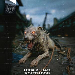 ROTTEN DOG