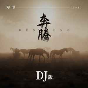 奔腾 (DJ版伴奏)