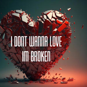 I Dont Wanna Love Im Broken (Explicit)