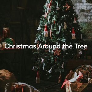 Quiet Christmas Ornament Sparkle