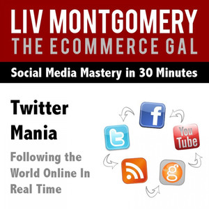 Twitter Mania: Following the World Online in Real Time