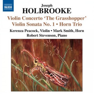 Horn Trio in D Major, Op. 28 (original version) - II. Adagio ma non troppo