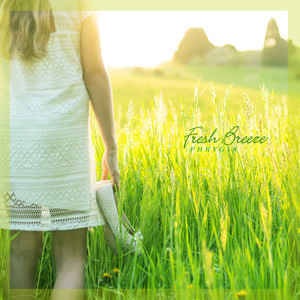 상쾌한 산들바람 (Fresh Breeze)