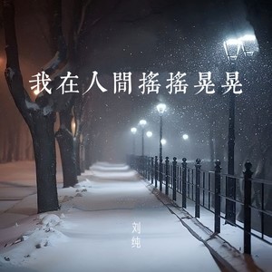 我在人间摇摇晃晃-刘纯