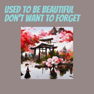 Used to Be Beautiful Don't Want to Forget